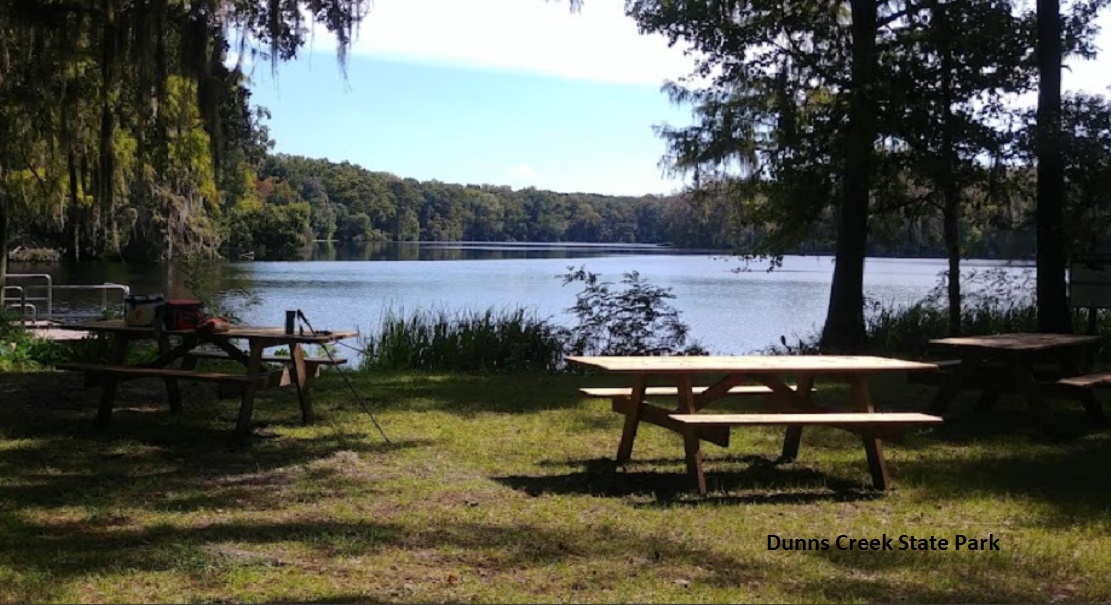 Lot For Sale Interlachen Lakes Estates Msbu Putnam FL 0.220 acres